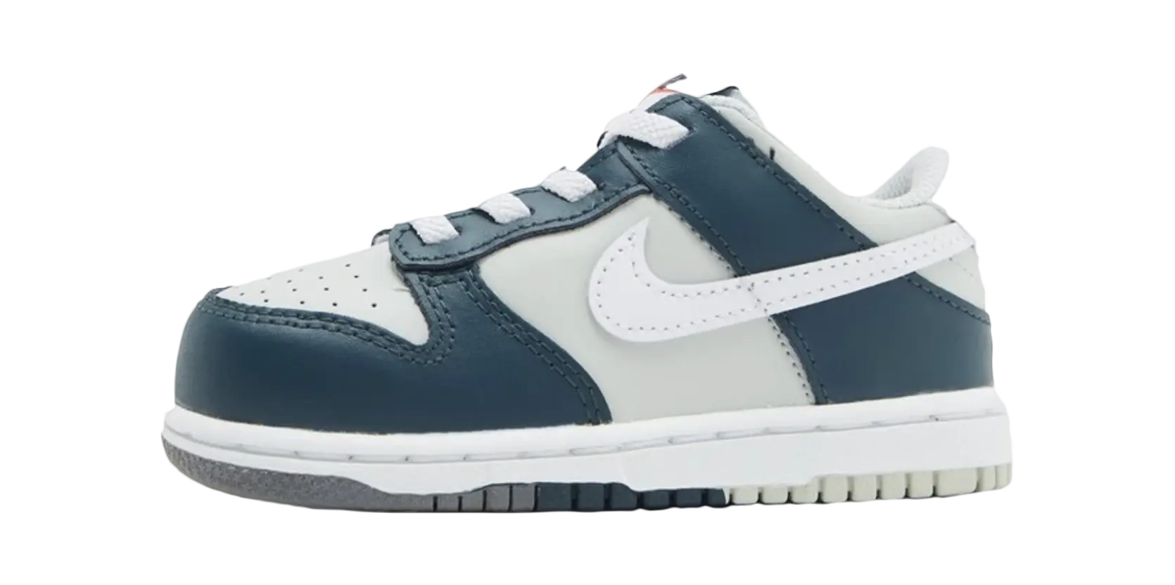 Nike Dunk Kids